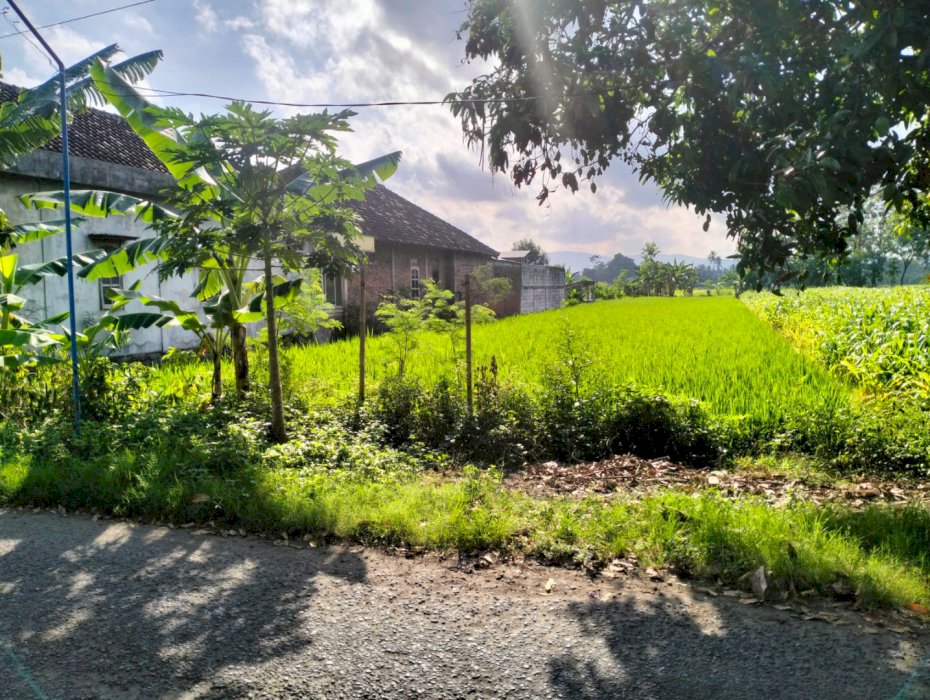 Dijual Pekarangan SHM LD 12 mt.LT 1.086.Jln Aspal.Sulang Lor Patalan