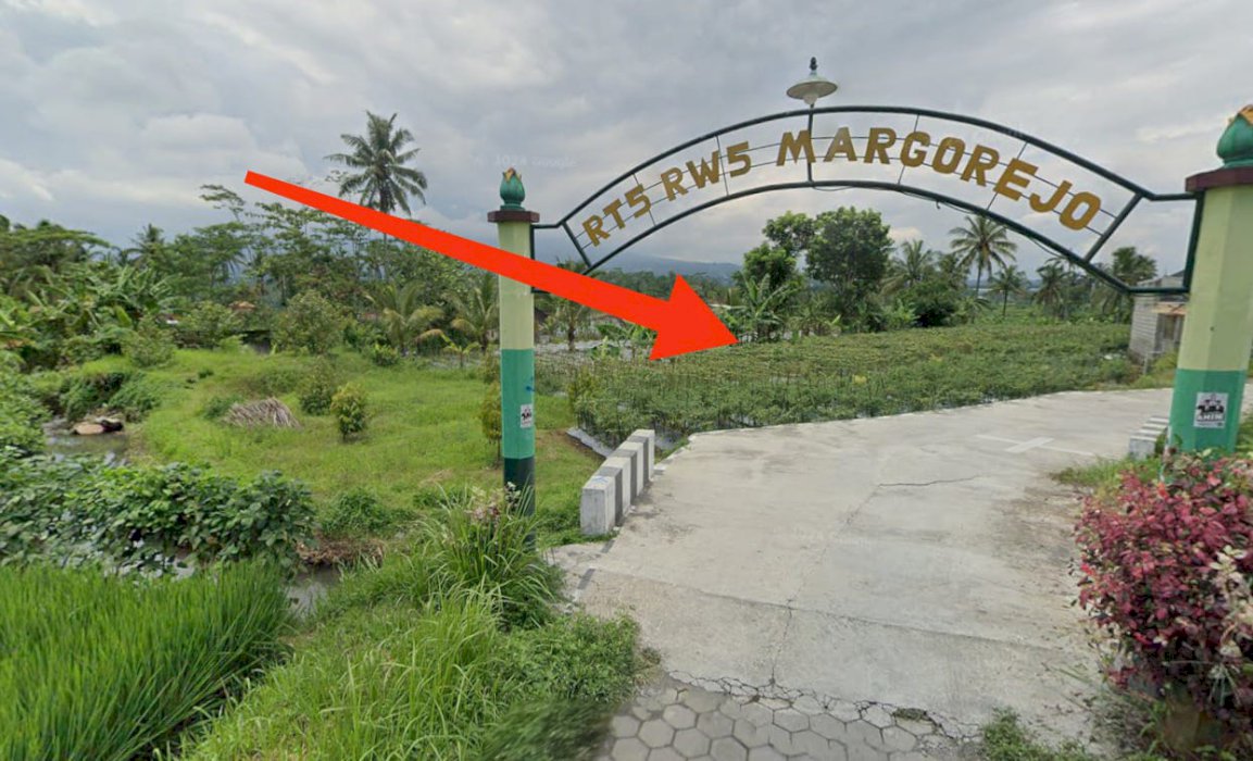 Tanah Dijual Bonus 10 Pohon Durian Musangking