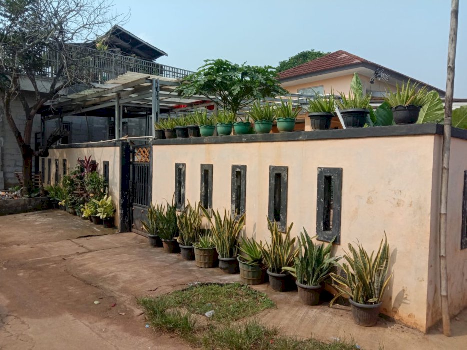 Jual Murah Rumah Luas 300m, 500jt Nego!