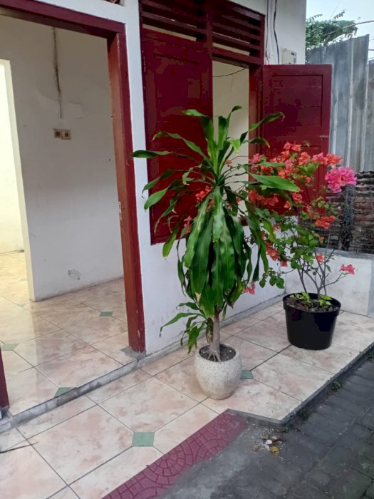 KOS AKTIF 3 KAMAR KAMAR MANDI DALAM