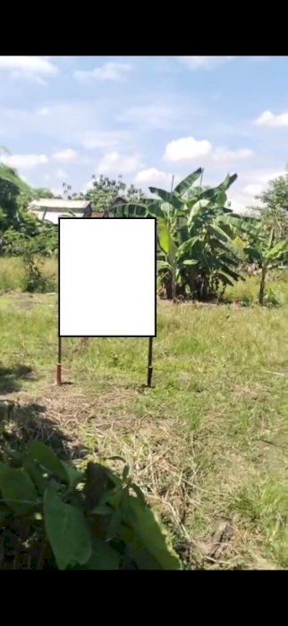 dijual tanah di prigi mranggen