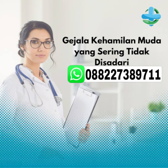 Obat Aborsi Karawang Wa 088227389711 Atau Aborsi Dengan Pil Cytotec