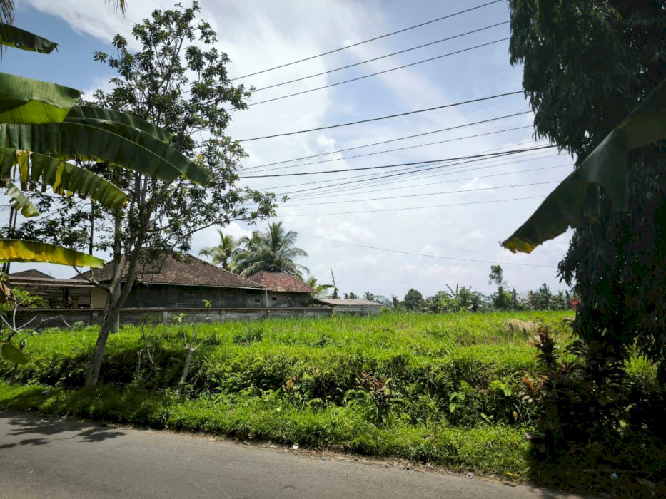 Di jual tanah siap bangun Ubud Bali