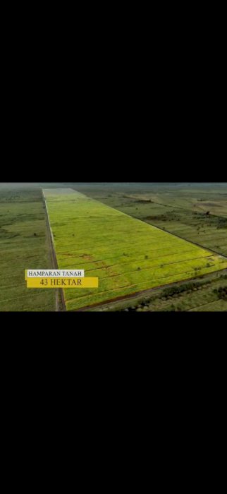 DIJUAL TANAH DAERAH LAMPUNG