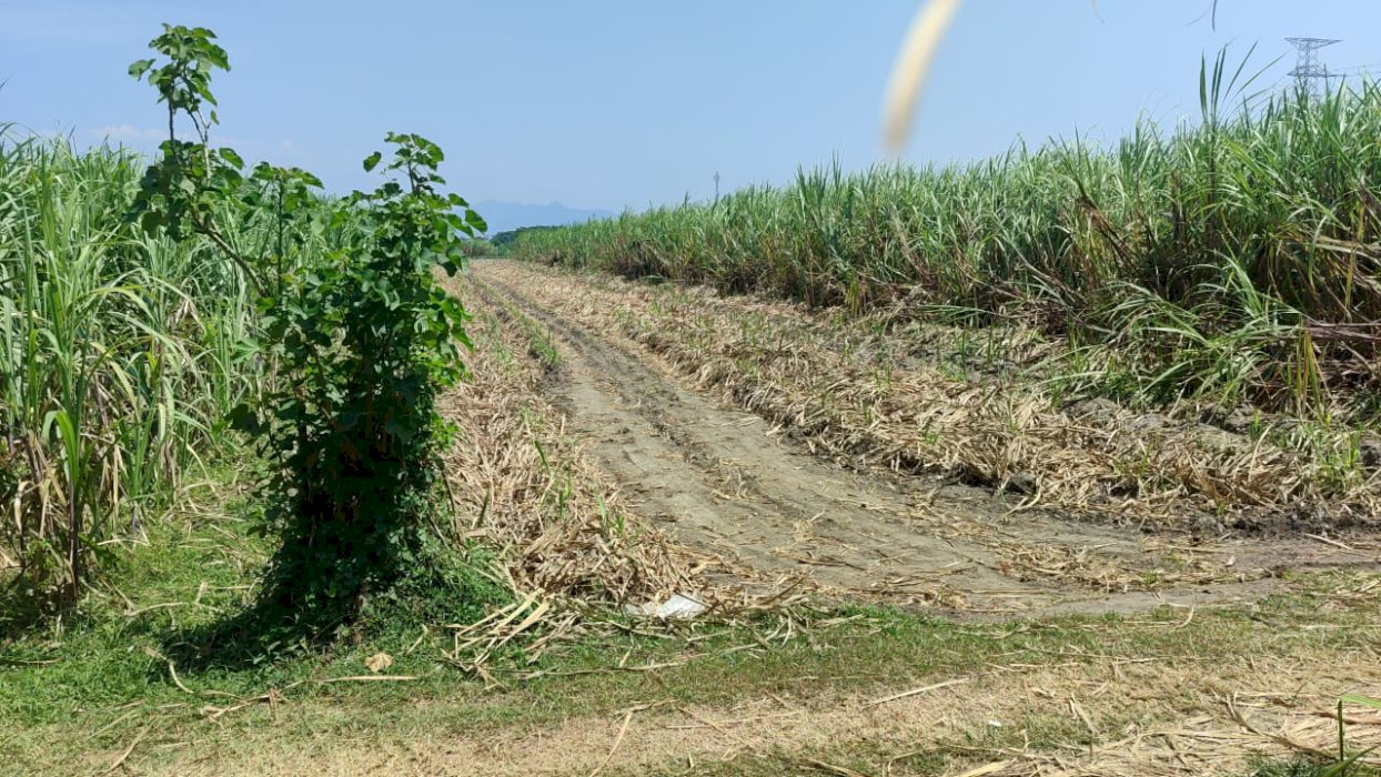 Di jual tanah lokasi strategis Betet