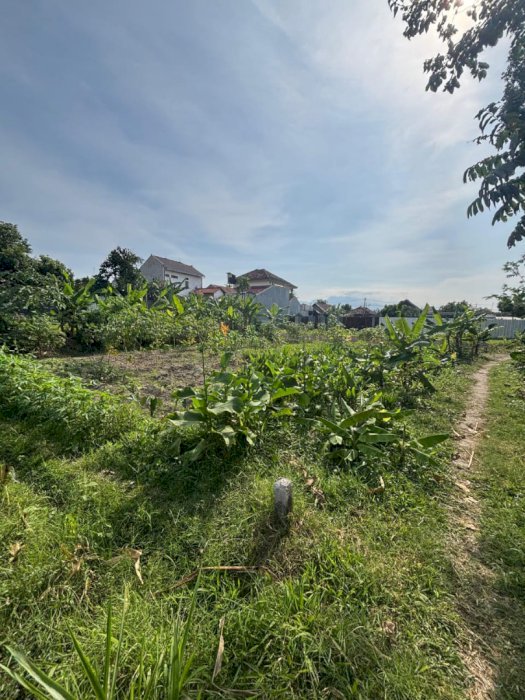 Di jual tanah siap bangun lokasi strategis Ngasem