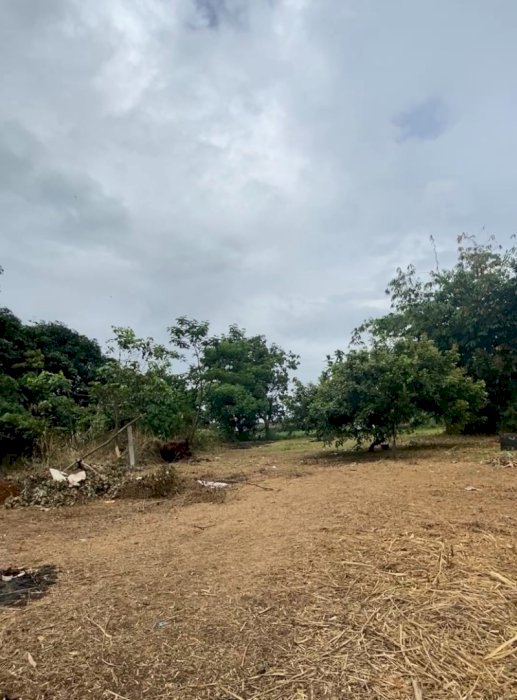 TANAH SHM BOJONG GEDE BOGOR