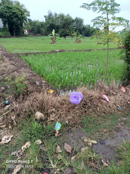 Tanah  salam gemolong