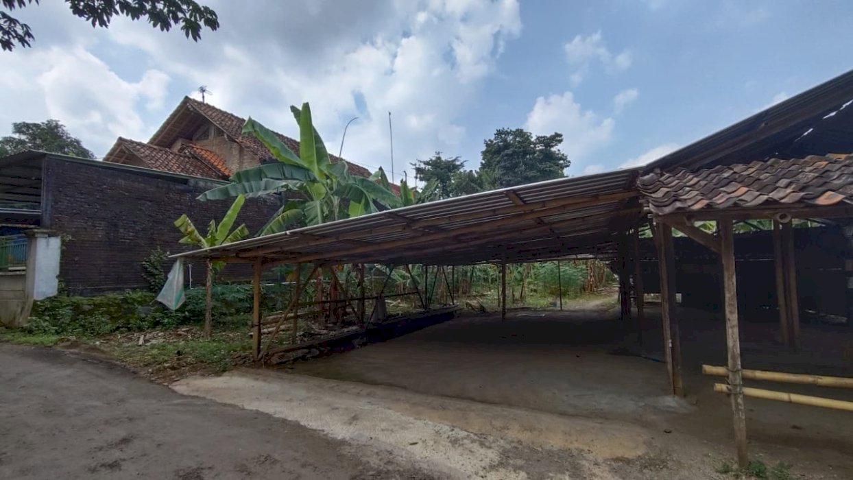 Tanah Murah Lokasi Strategis Di Mlonggo Jepara