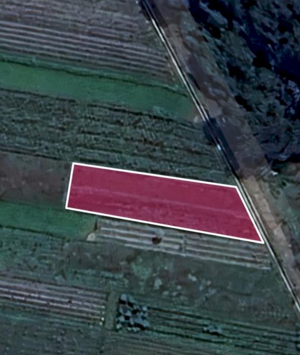 DIJUAL TANAH SAWAH UNTUK PERTANIAN/HUNIAN DI SLEMAN YOGYAKARTA