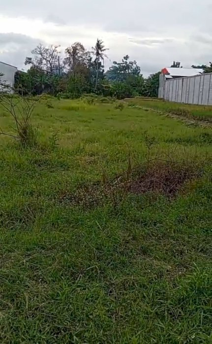 Di jual tanah lokasi JL kabupaten, sleman