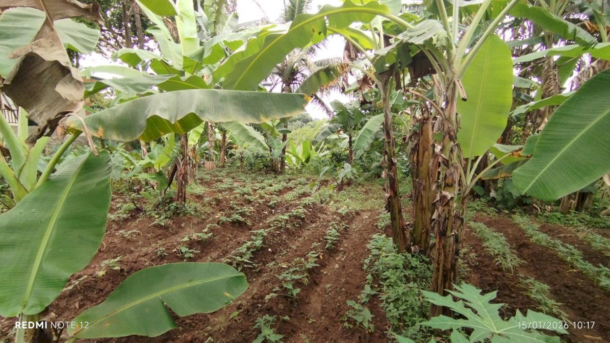 jual tanah murah dikota bogor