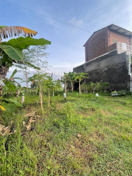 TANAH KAVLING SELATAN RSU HASTUTI