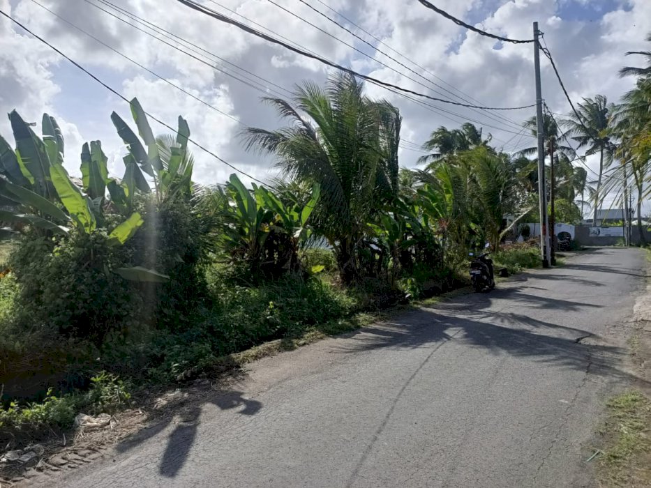 DIJUAL TANAH VIEW SAWAH – GIANYAR, BALI