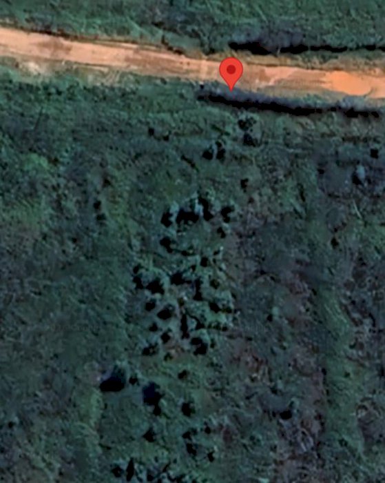 Tanah bisa buat lahan sawit