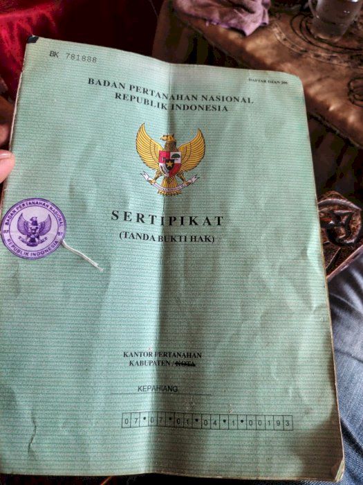 Kebun kopi siap panen luas tanah 1 hektar