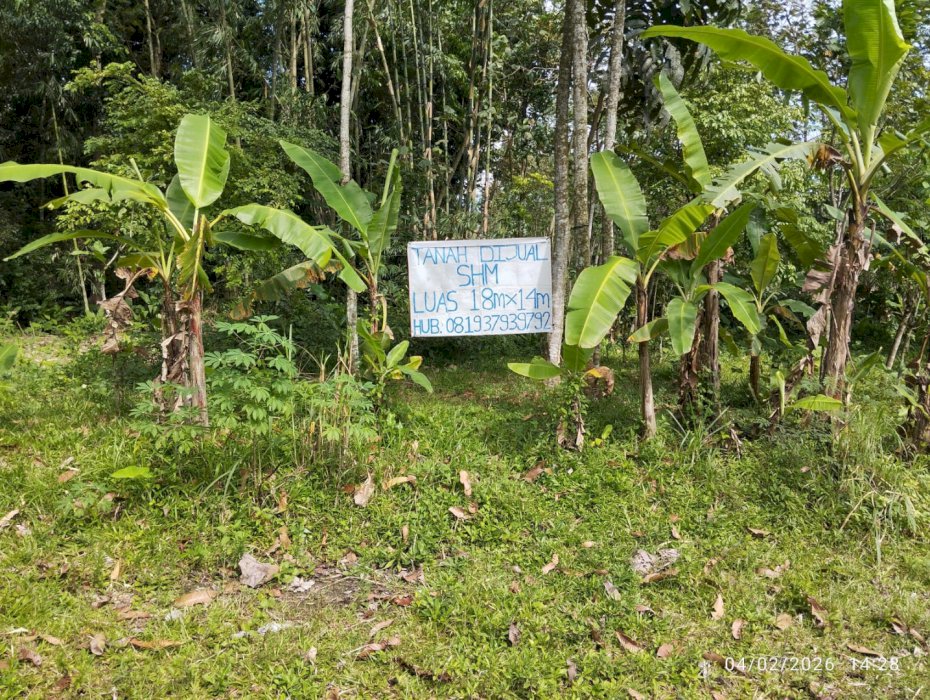 Dijual Tanah Kavling SHM Lokasi Strategis Dekat Masjid Tiban di Turen