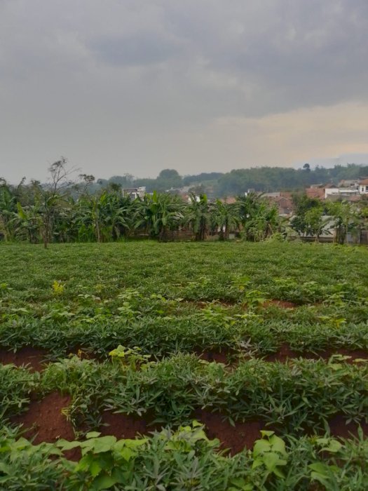 Tanah dekat 3 kampus besar ITB UNPAD IPDN