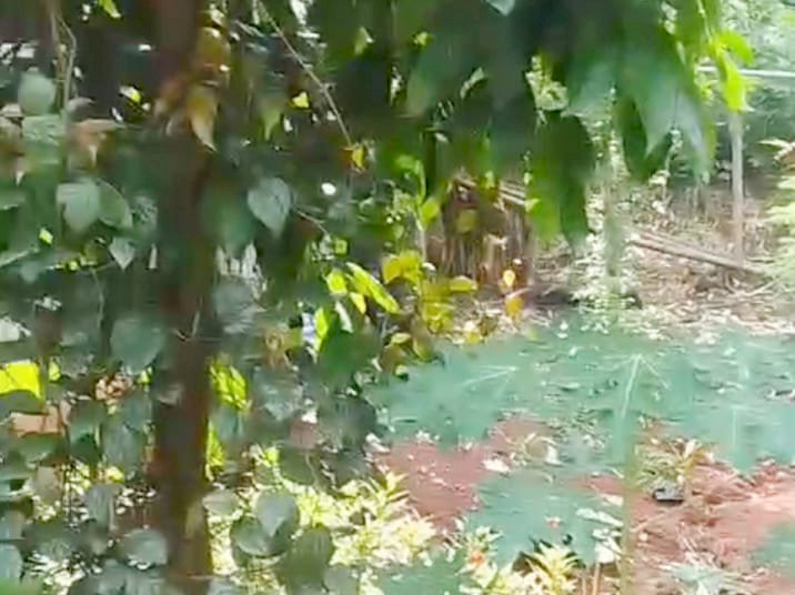 Dijual Tanah Murah di Kebagusan Jakarta Selatan