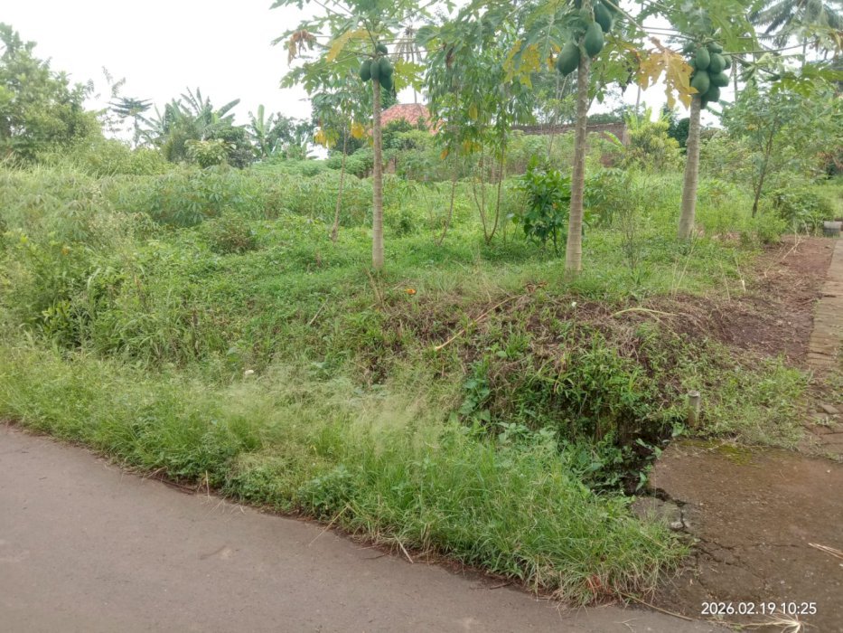 DIJUAL CEPAT BU TANAH KAVLING MURAH - INVESTASI MASA DEPAN ANDA