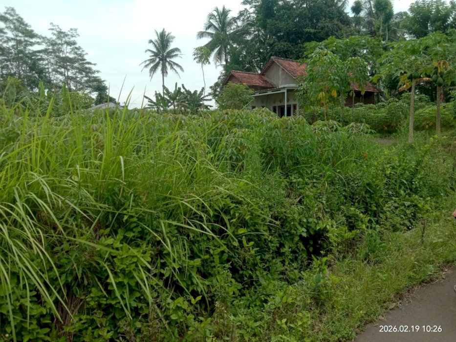 Tanah kavling murah dan strategis di Sukosari Malang