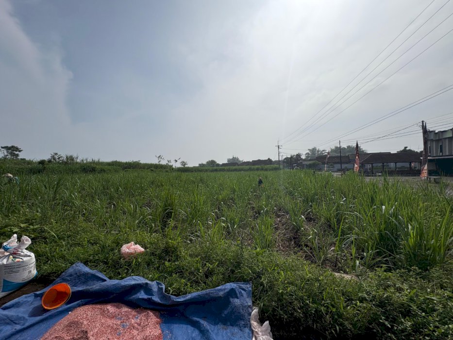 DIJUAL TANAH STRATEGIS – SINGOSARI MALANG