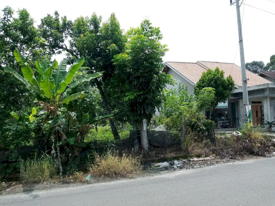 Dijual Cepat Rumah Dan Tanah Super Luas Sumatera Selatan