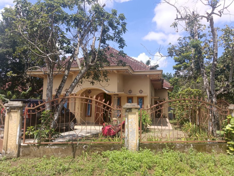 Dijual Cepat Rumah & Tanah Super Luas Sumatera Selatan