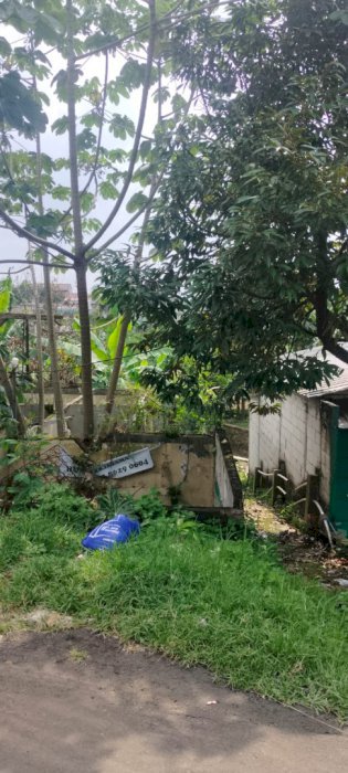Dijual Cepat Tanah Kebun Jl Nangka Gg Belong Tapos Depok Jawa Barat