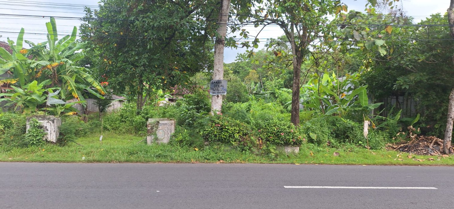 Dijual Tanah Di Desa Bendorejo Pogalan Trenggalek Jawa Timur