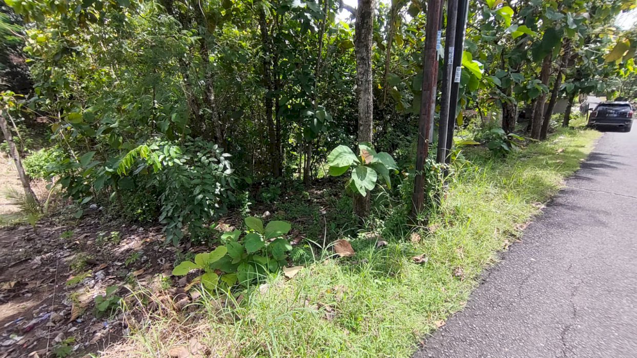 Di jual tanah murah lokasi strategis di Pajangan Bantul