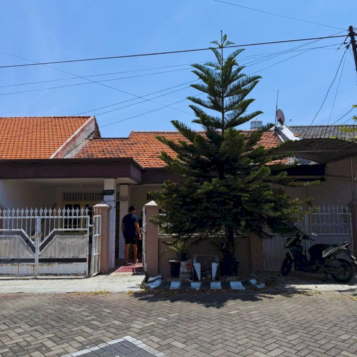 Rumah 1 Lantai Medokan Surabaya Timur Cocok Untuk Hunian