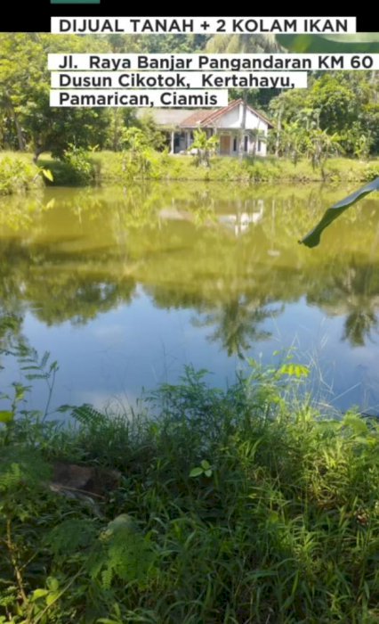 Dijual Lahan Jln Raya Banjar Pangandaran KM 60   Ciamis Jawa Barat