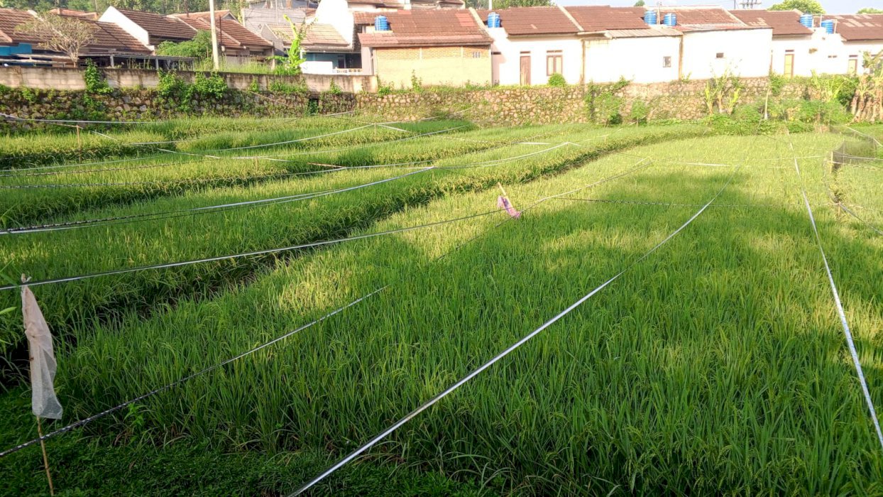  Tanah Jagabaya Jawa Barat  Bagus Untuk Perumahan Untuk Cafe