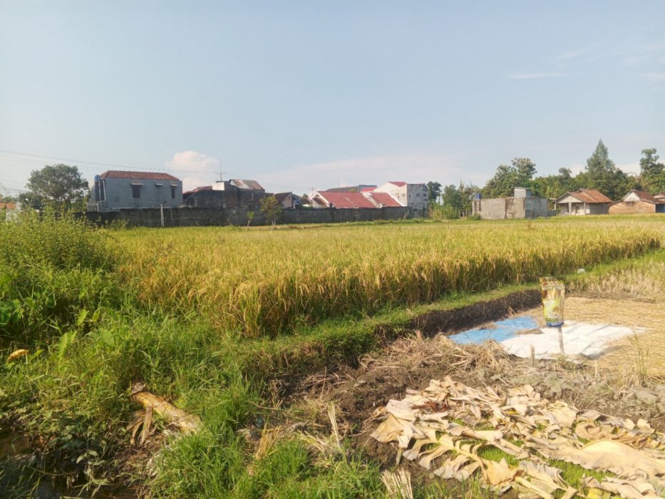 Tanah Pertanian Lokasi Strategis