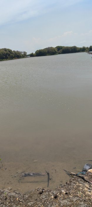 Dijual tambak ikan bandeng