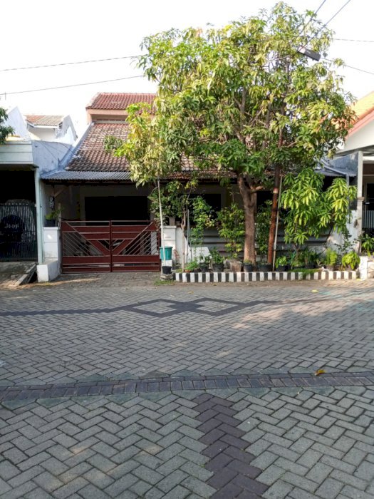 Rumah Pandugo Rungkut Surabaya Row Jalan 6m/7m, Nego
