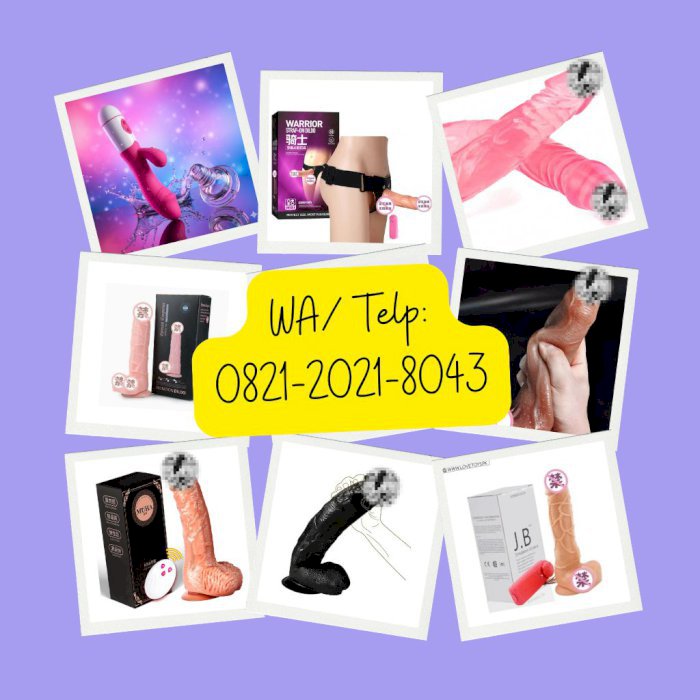 gallery cover