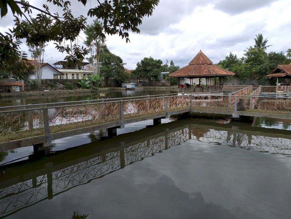 Jual tanah kolam ikan di pusat kota dekat lingkungan kampus dan kosan