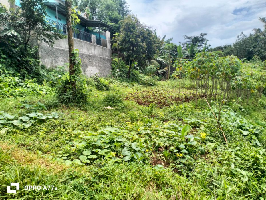 DIJUAL TANAH STRATEGIS- COCOK UNTUK BANGUN RUMAH ,SEMI VILA, DAN KEBUN