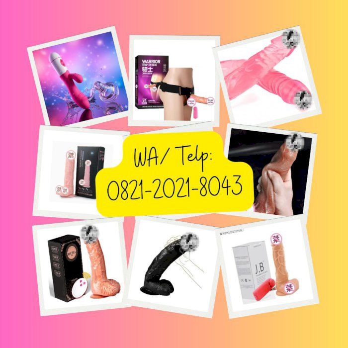 gallery cover