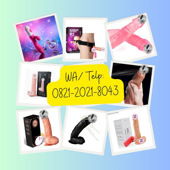gallery cover
