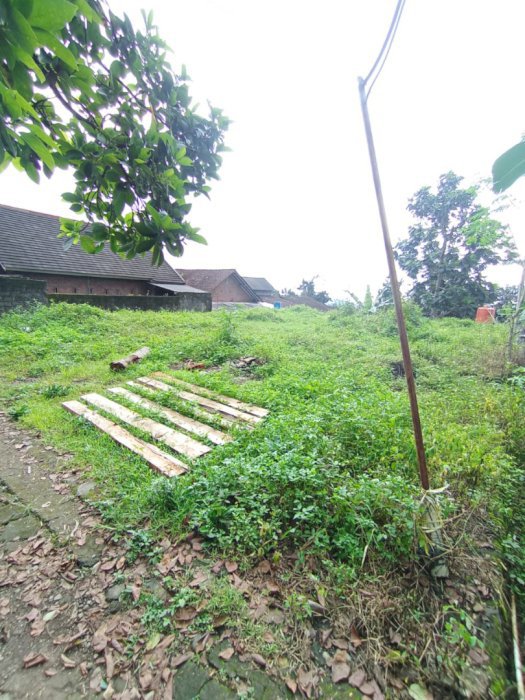 Dijual Cepat Tanah Nyatnyono Ungaran Barat Semarang