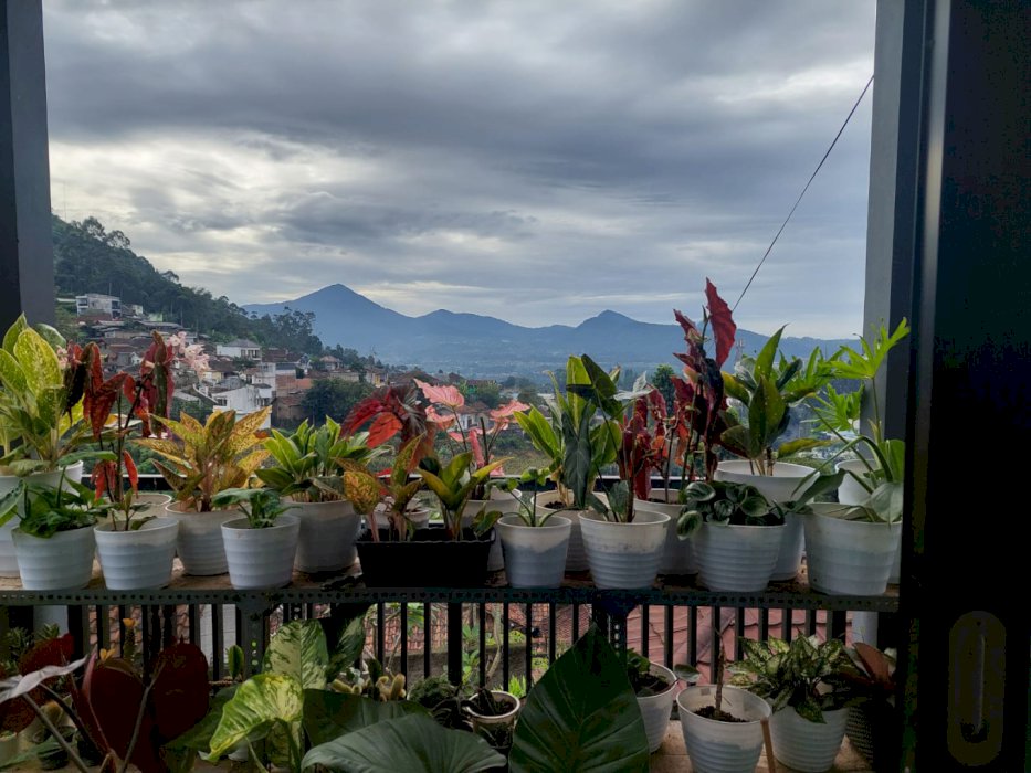 Rumah Villa Dijual Lembang