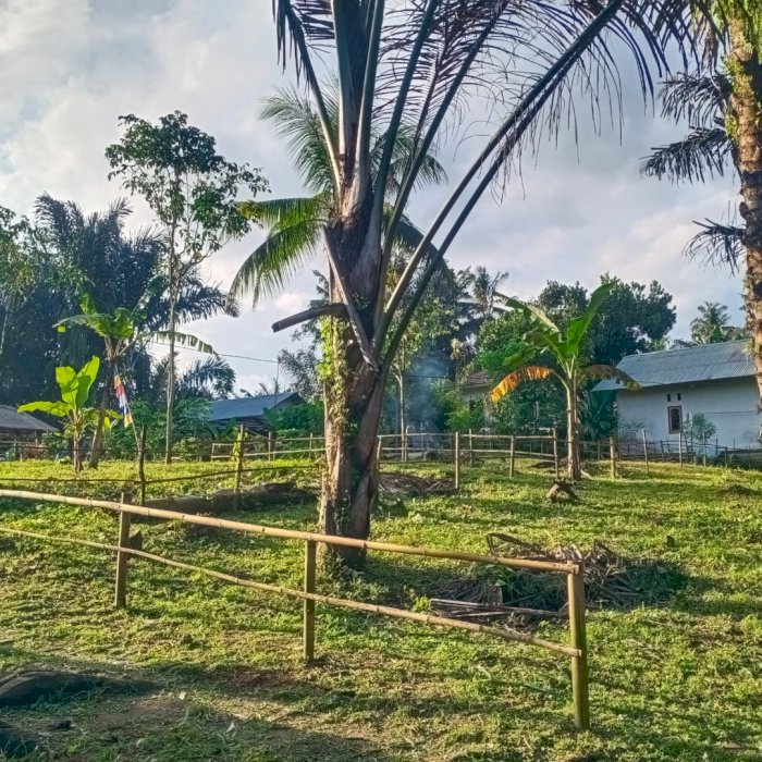 Di jual tanah kavling siap bangun di Dusun Duman Utara Lombok Barat