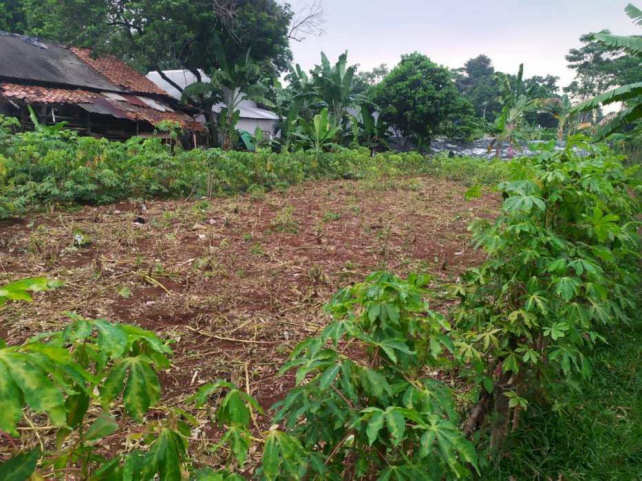 DIJUAL TANAH SHM SIAP BANGUN, DI SENTUL, BOGOR.