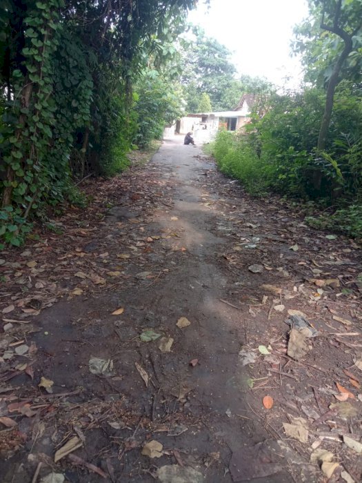 DIJUAL TANAH PEKARANGAN MURAH-LANGSUNG PEMILIK!