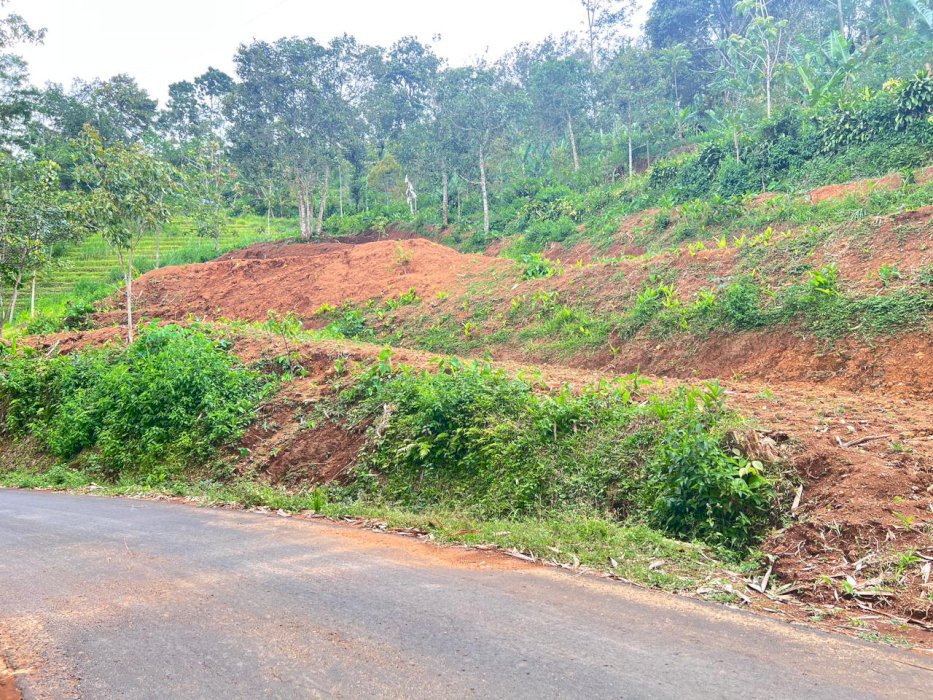 DIJUAL TANAH STRATEGIS DI NGARGOYOSO, KARANGANYAR-LANGSUNG PEMILIK!