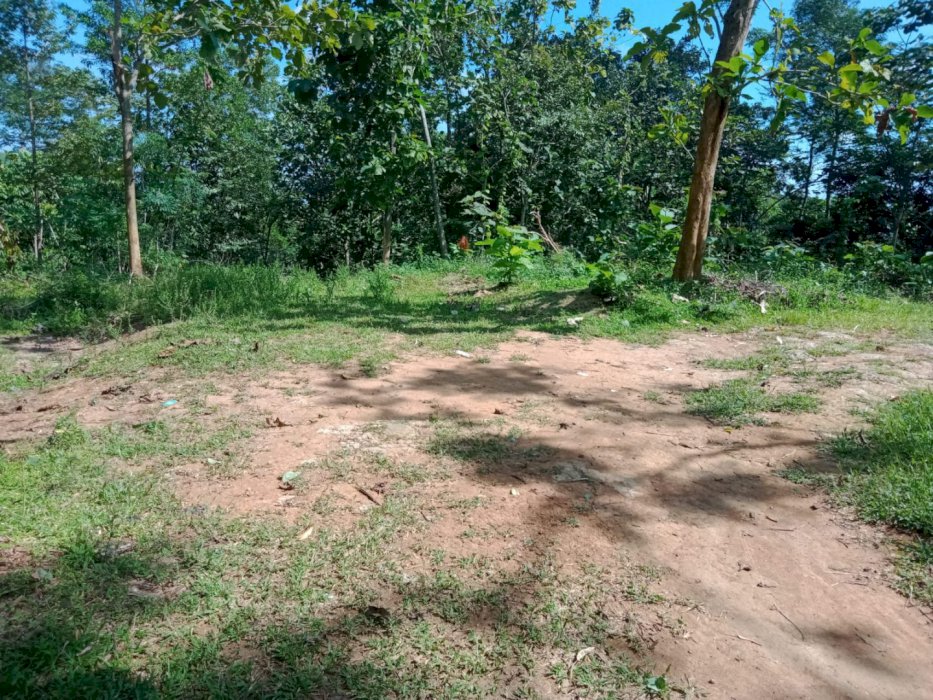 DIJUAL TANAH KAVLING MURAH DI KARANGPANDAN-LANGSUNG PEMILIK
