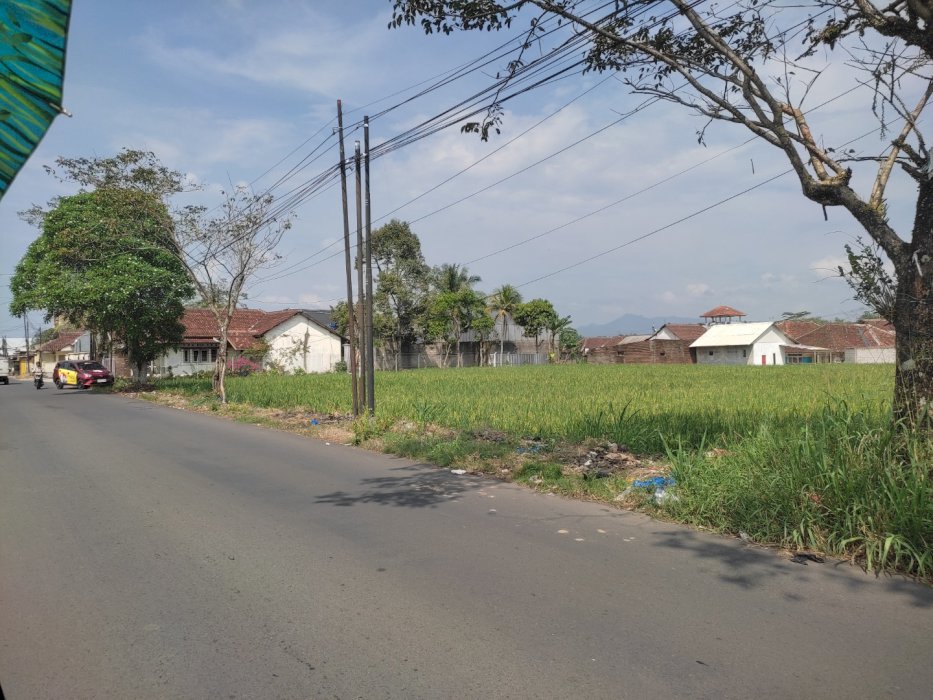 dijual tanah, legalitas shm harga masi bisa nego
